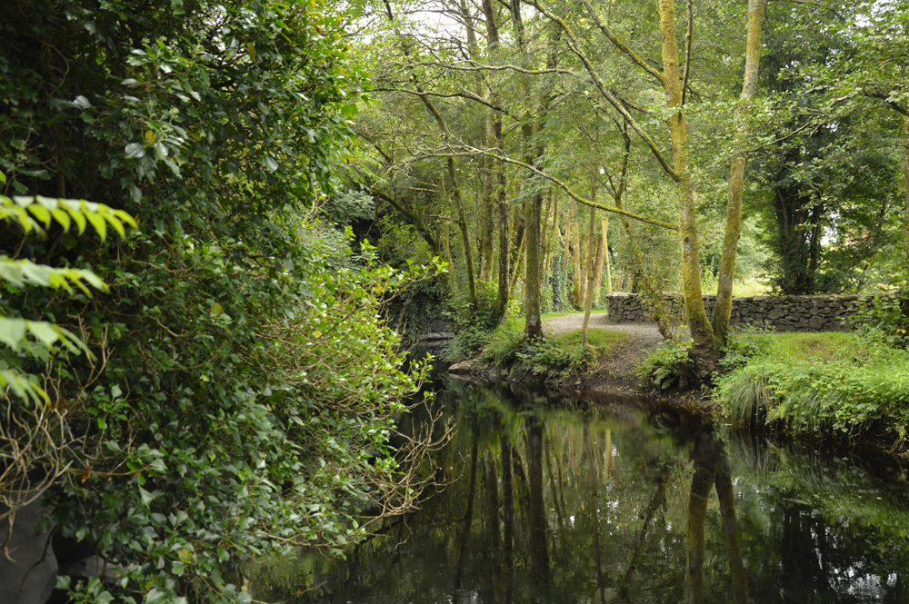 Aughnanure Castle, Co Galway