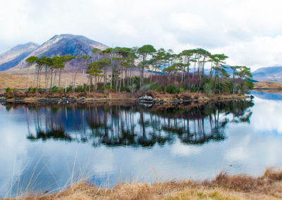 Private Driver Ireland - Connemara